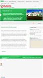Mobile Screenshot of daloloil.com
